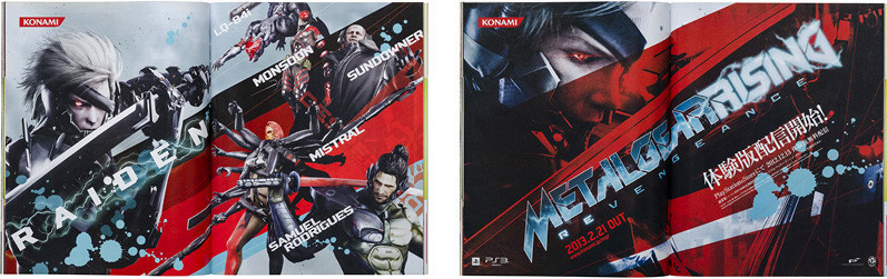 METAL GEAR RISING REVENGEANCE
